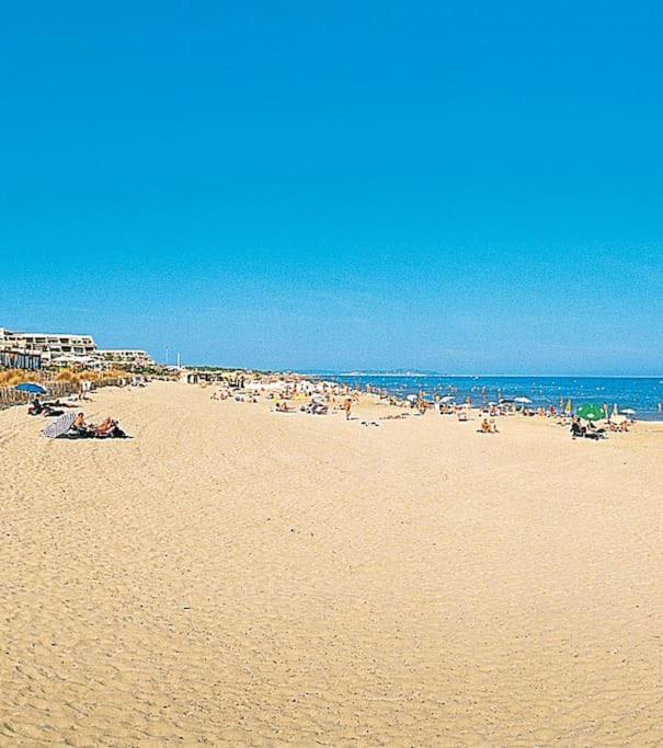 Confortable Appartement Grande Terrasse Piscine Parking Clim Agde Kültér fotó